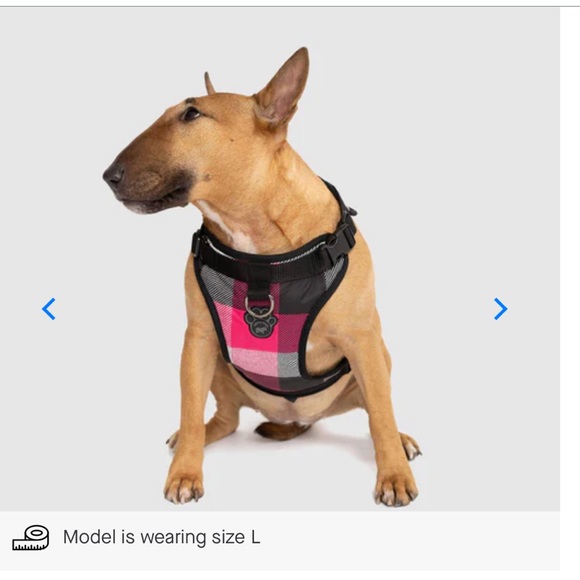 Dog harness - Picture 3 of 5